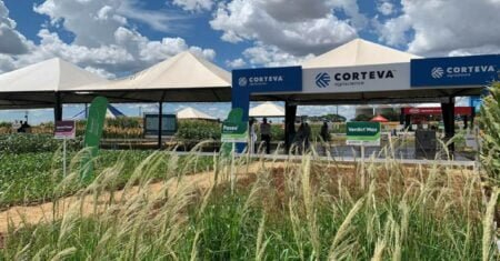 Corteva, uma das maiores empresas no ramo da agricultura a nível global, está com oportunidades de emprego em aberto!