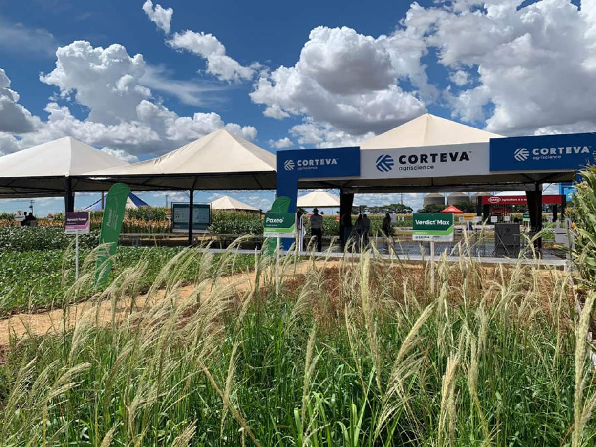 A Corteva, uma das maiores empresas no ramo da agricultura a nível global, está com oportunidades de emprego em aberto, confira mais!