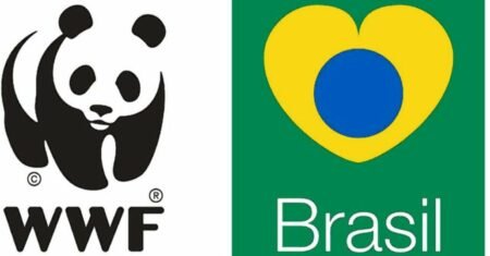 WWF Brasil, uma das maiores organizações de conservação ambiental, abre vagas home office sem experiência em departamento financeiro