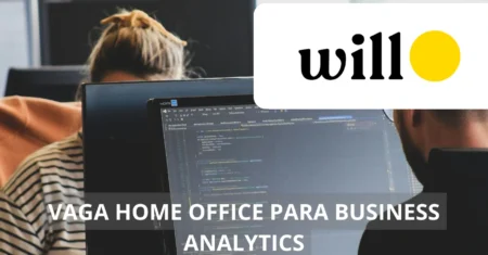 Will Bank está em busca de Business Analytics para preencher vaga de emprego em regime 100% home office em todo o Brasil