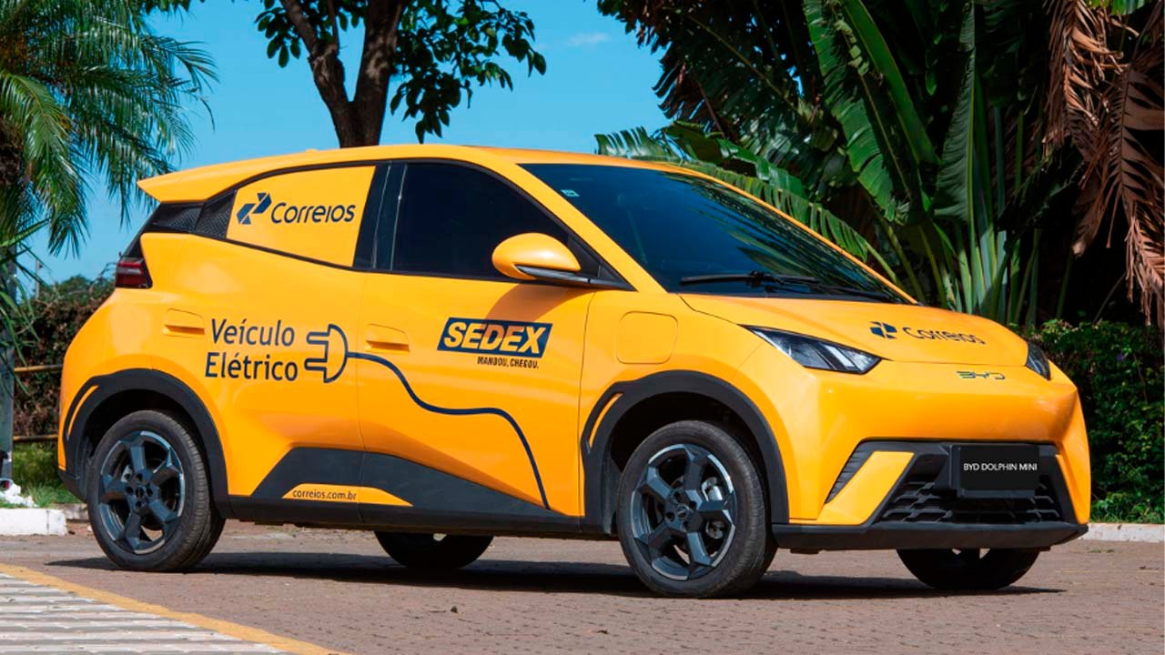 BYD Dolphin Mini Cargo 